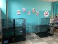 Миниатюра 8