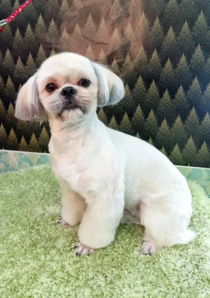  "Грумер Татьяна".