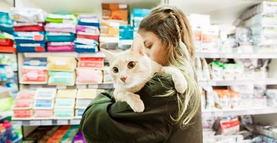 Зоомагазин Petshop.ru на Зорге  в  Ростове-на-Дону