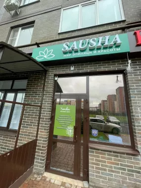 Салон красоты "Sausha".