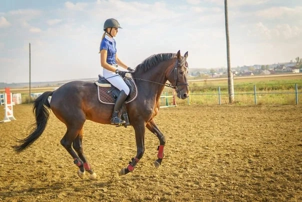 Конно-спортивная школа "КЕНТАВР".