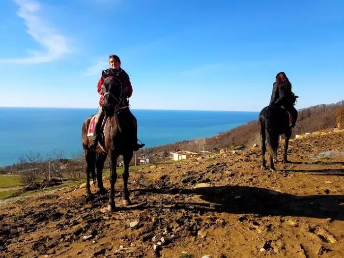 Конные прогулки "Казачий клуб" в Хосте.