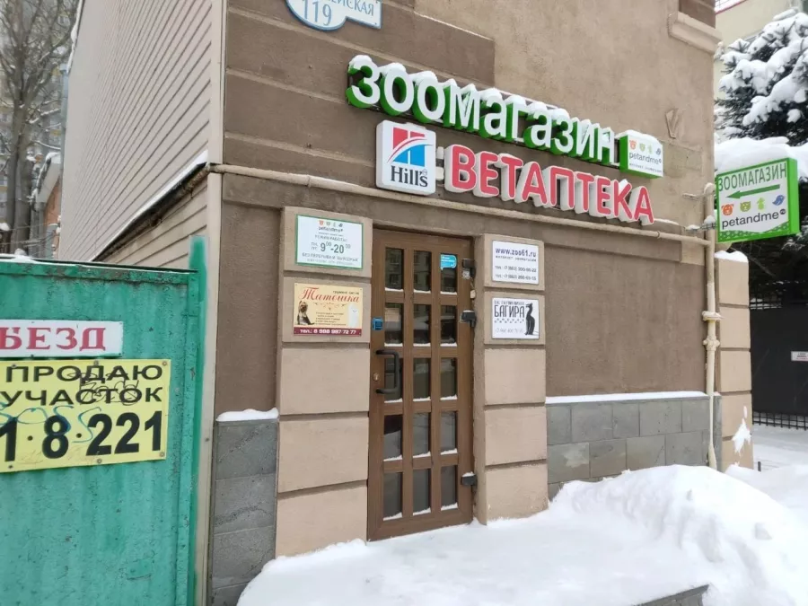 Зоосалон Татошка в Ростове-на-Дону: Зоосалон, Груминг, Коты, Животные,