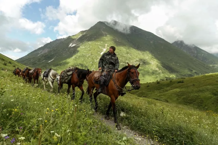 Конные прогулки "Райдер Трип".