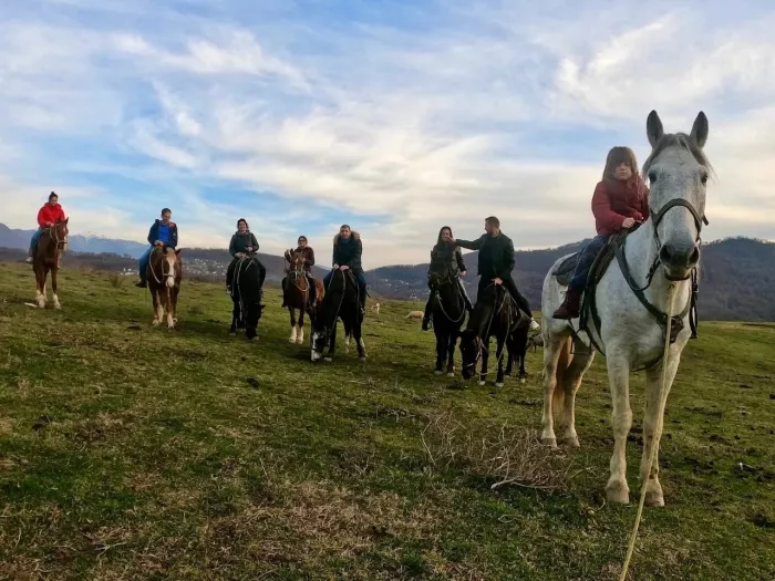 Конные прогулки "Райдер Трип".