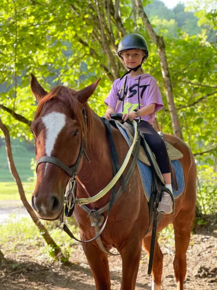 Конные прогулки "Райдер Трип".
