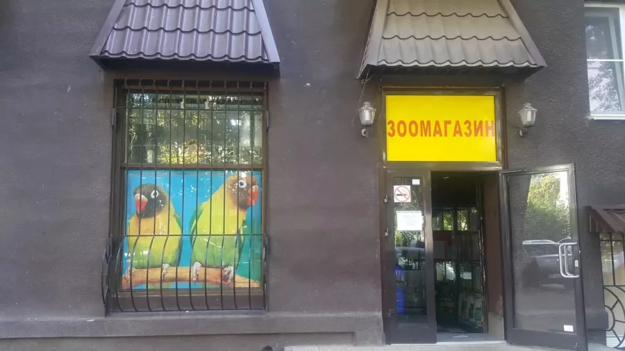 Зоомагазин Белый Какаду в Ростове-на-Дону: Зоомагазин, Зоотовары, Питомцы, Зоомир,