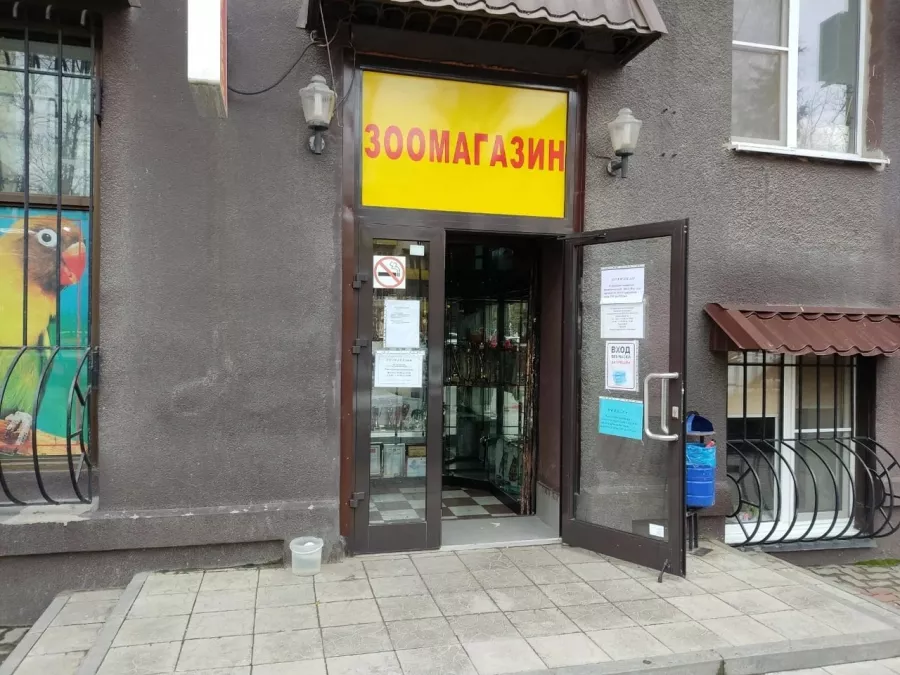 Зоомагазин Белый Какаду в Ростове-на-Дону: Зоомагазин, Зоотовары, Питомцы, Зоомир,