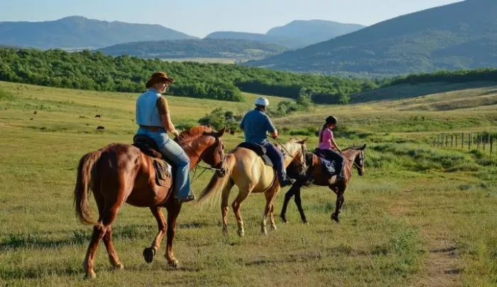 "Конные прогулки. Квадроциклы. Кафе.".