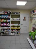 Миниатюра 3