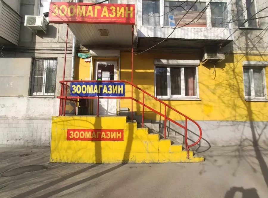 Зооцентр Белый какаду на Ленина в Ростове-на-Дону: Зоомагазин, Зоомир, Зоотовары, Питомцы, Зооцентр,
