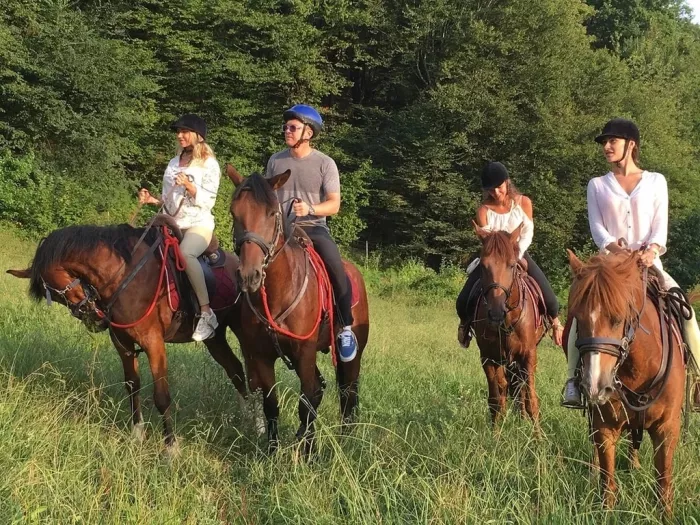 КСК "Созвездие Sochi".