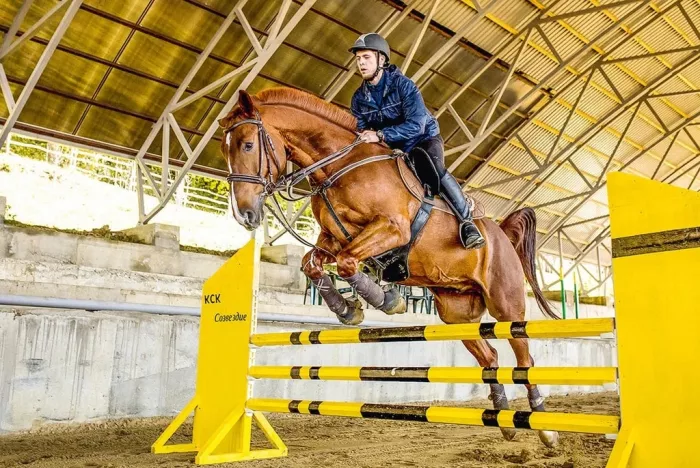 КСК "Созвездие Sochi".