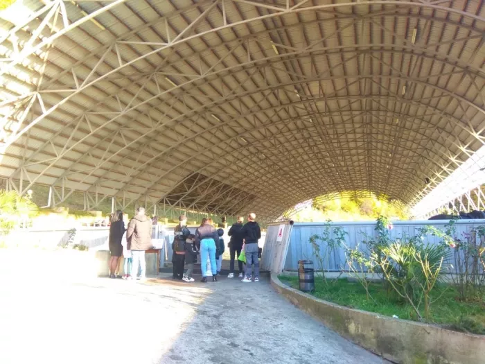 КСК "Созвездие Sochi".