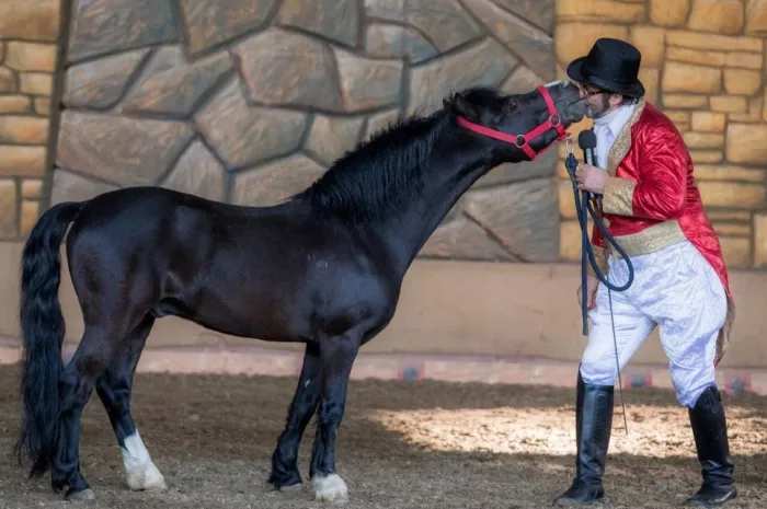 "Сочинский Конный театр".