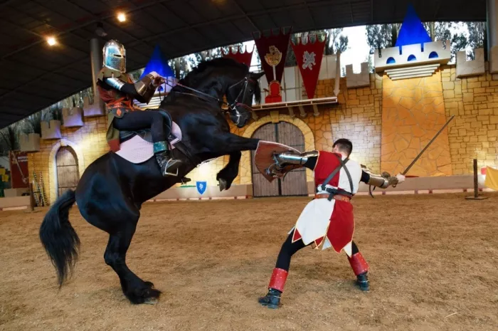 "Сочинский Конный театр".