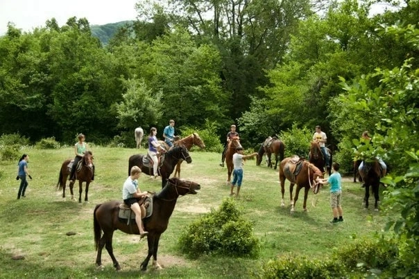 Конный клуб "Фаворит".