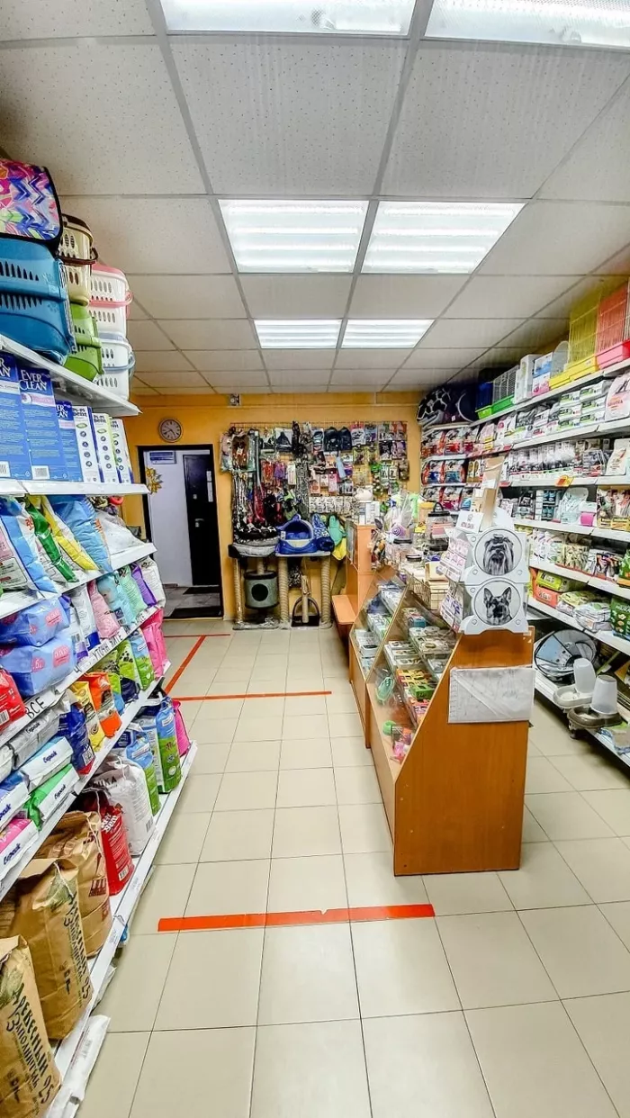 Зоомагазин "Два кота" на Белоусова.