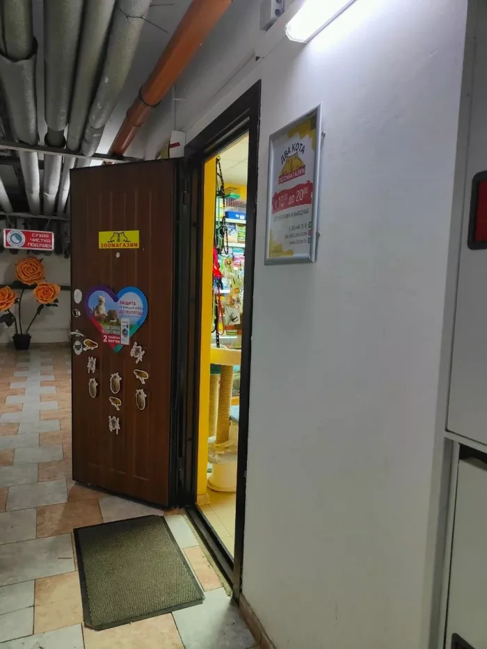 Зоомагазин "Два кота" на Белоусова.