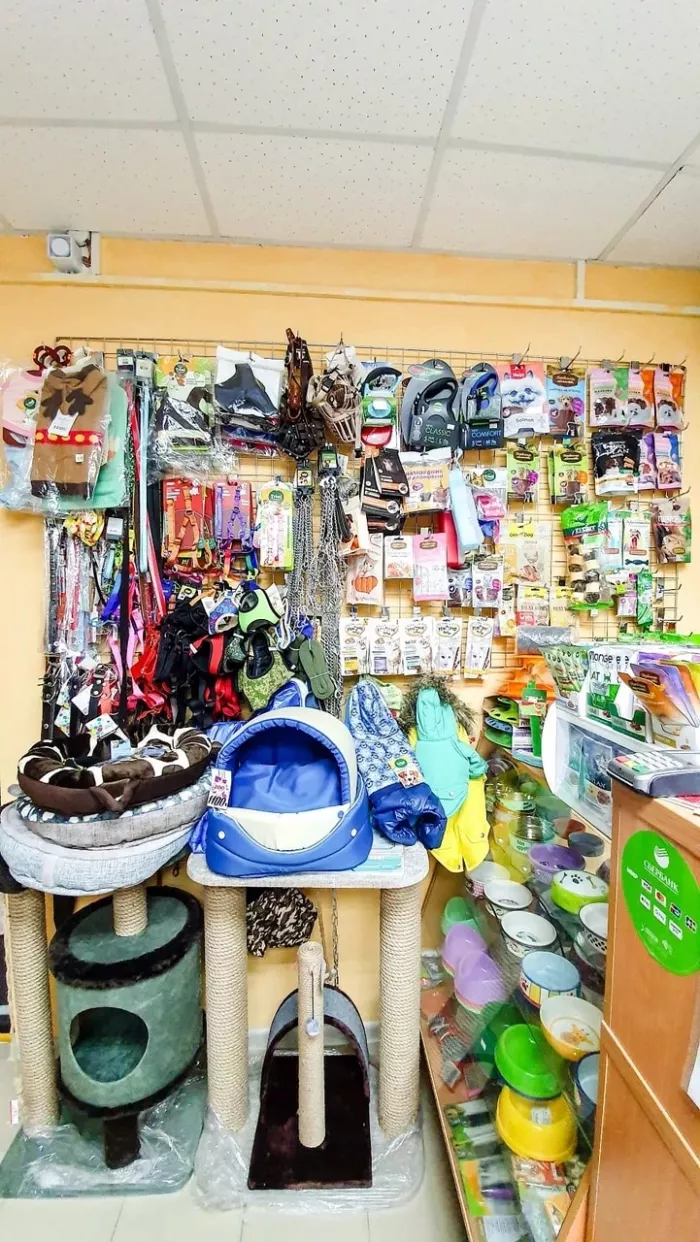 Зоомагазин "Два кота" на Белоусова.