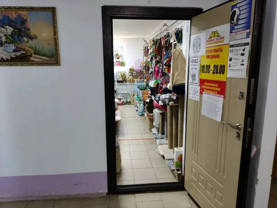 Зоомагазин Два кота на Петренко в Ростове-на-Дону: Зоомагазин, Зоотовары, Животные,