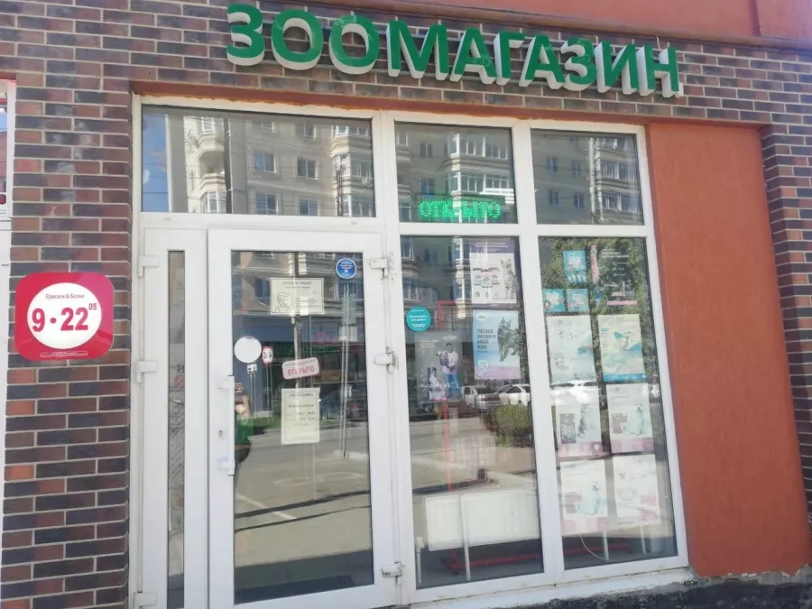 Зоомагазин на Горсоветской в Ростове-на-Дону: Зоомагазин, Зоотовары, Животные,