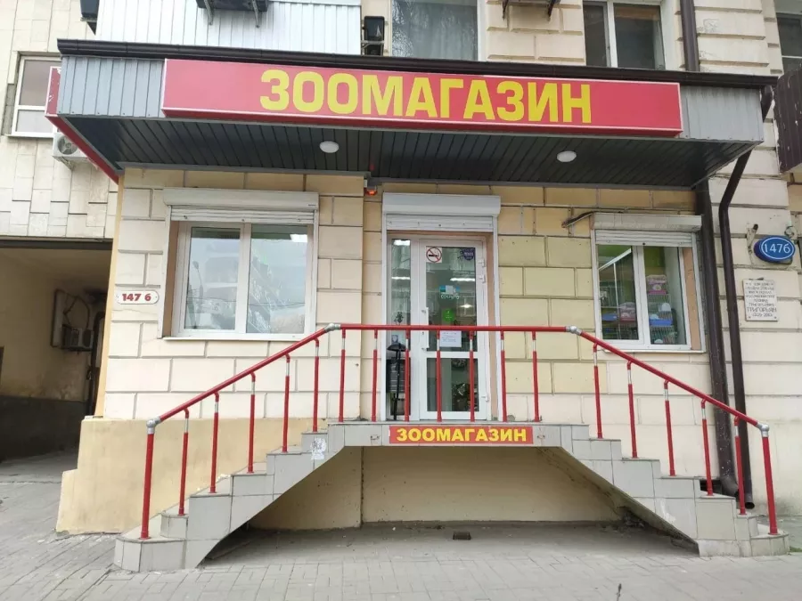 Зоомагазин на М.Горького в Ростове-на-Дону: Зоомагазин, Зоотовары, Животные,