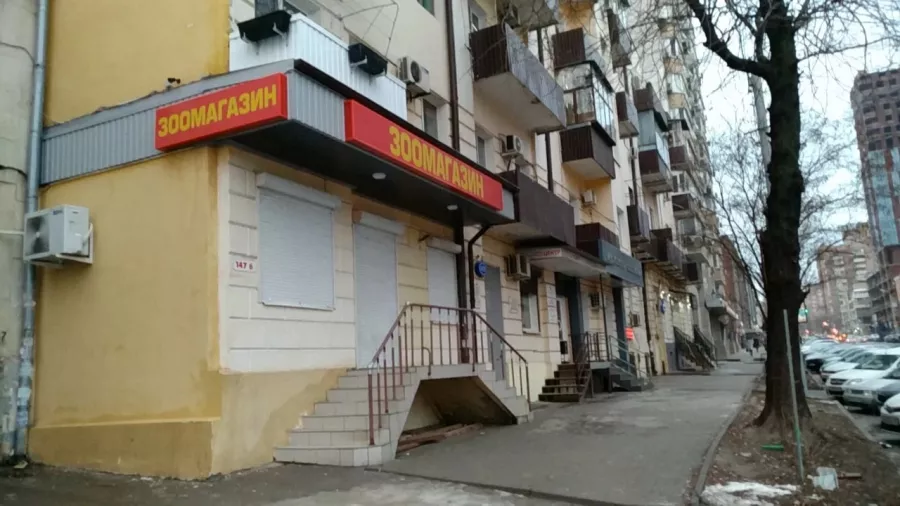 Зоомагазин на М.Горького в Ростове-на-Дону: Зоомагазин, Зоотовары, Животные,