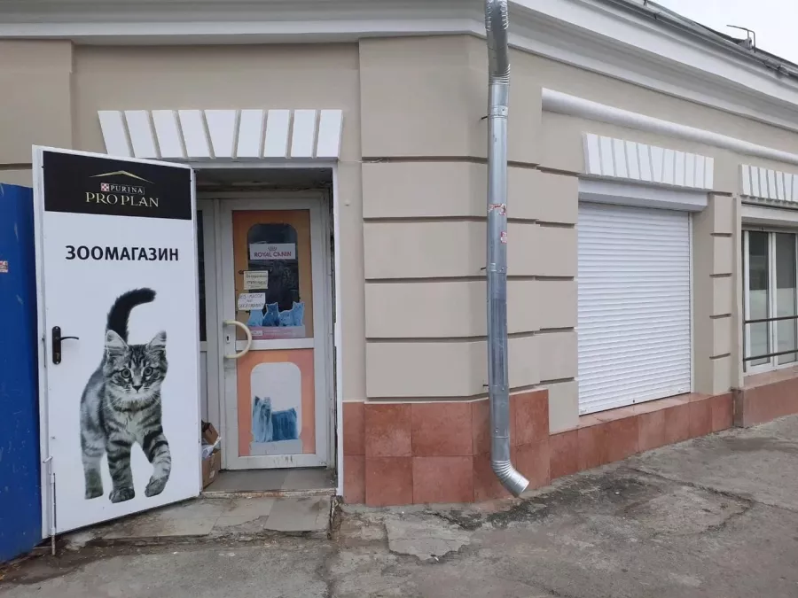 Зоомагазин на Станиславского в Ростове-на-Дону: Зоомагазин, Зоотовары, Животные,