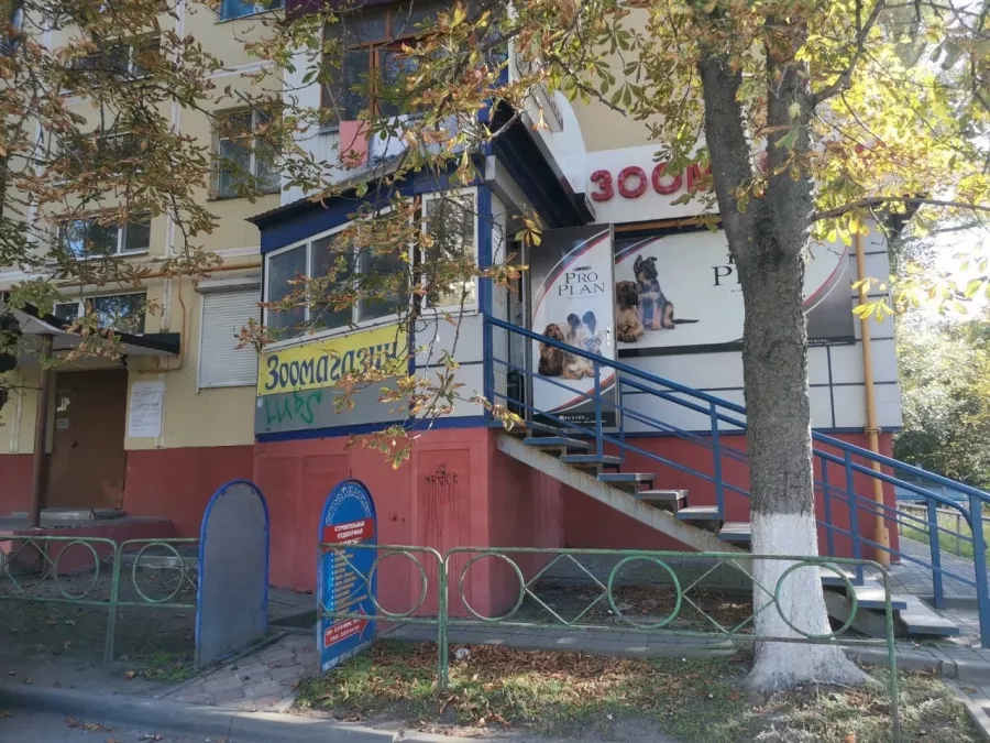 Зоомагазин на Стачки в Ростове-на-Дону: Зоомагазин, Зоотовары, Животные,