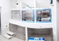 Миниатюра 8