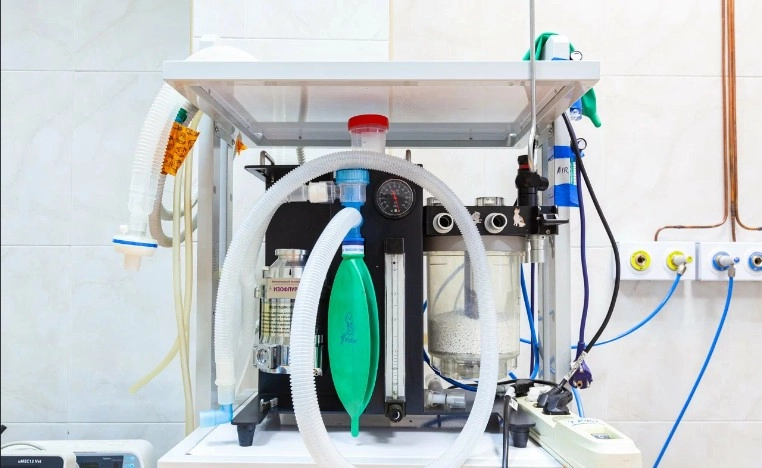 Большое фото 10