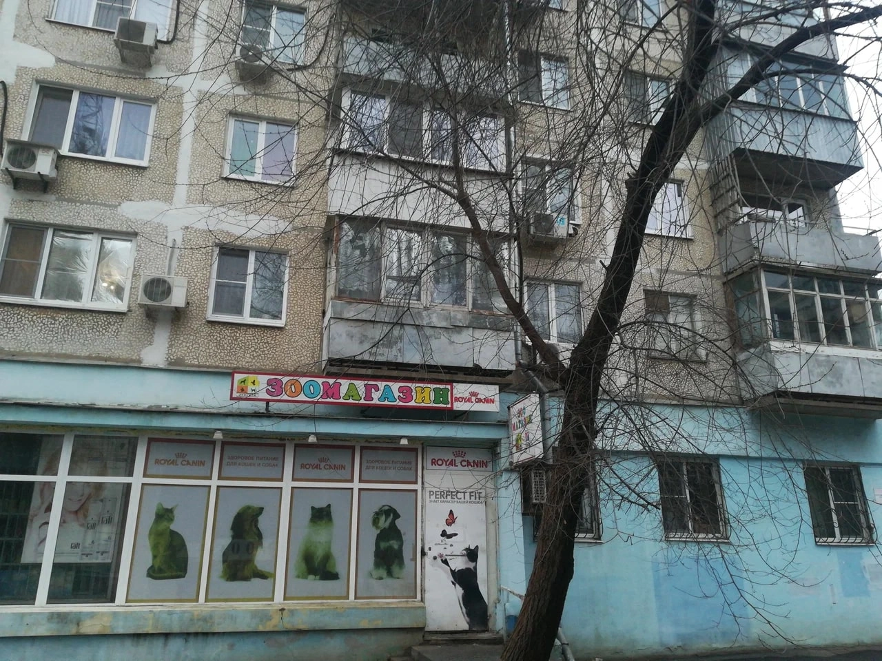 Большое фото 3