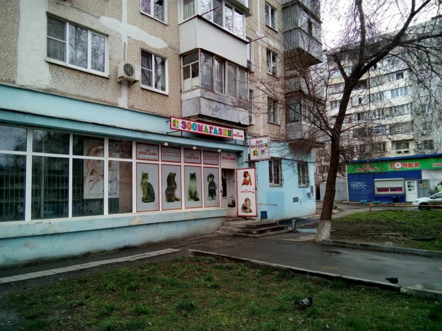 Зоомир Зоосити на Волкова в Ростове-на-Дону: Зоомагазин, Зоомир, Зоотовары, Питомцы, Террариум, Аквариум,