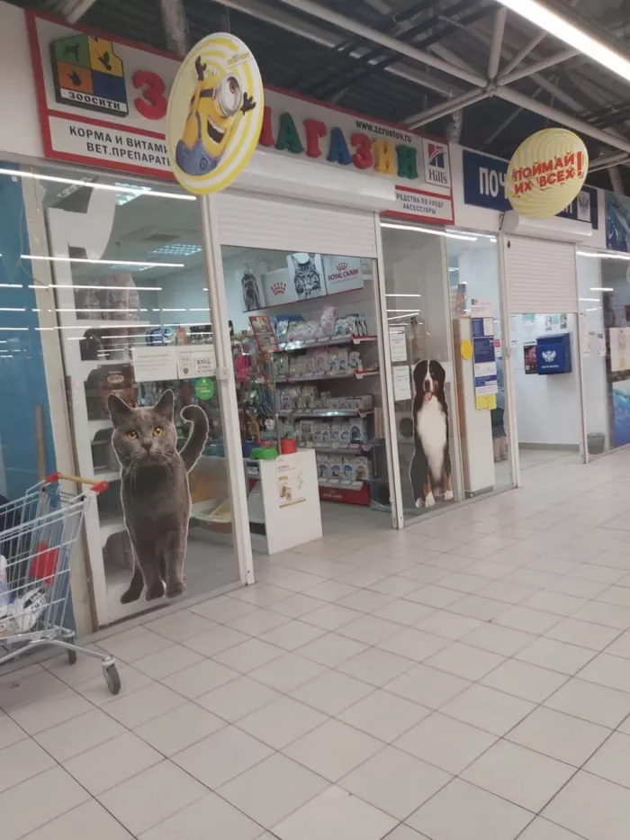 Зоомагазин "Зоосити" на Жданова.
