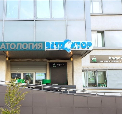 Ветеринарная клиника Ветдоктор в Москве: Стоматология, Рентген, Хирургия, Кардиология, ЭКГ, Гинекология, УЗИ,