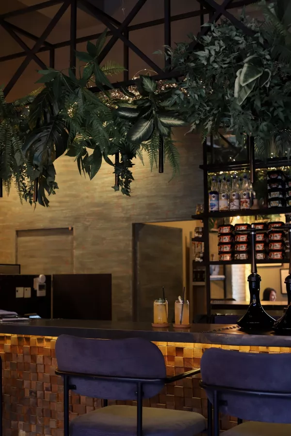 Кальян-бар Техникум Lounge в Краснодаре: Кальян, Бар, Развлечение, Лаундж, Компания,