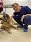 Миниатюра 9