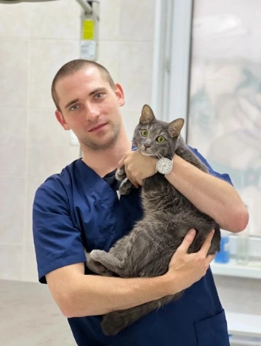 Ветеринарная клиника GlobalVet clinic в Москве: УЗИ, Рентген, Орнитолог, Вакцинация, Стерилизация , Стоматологические услуги, Неврология,