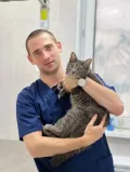 Миниатюра 6