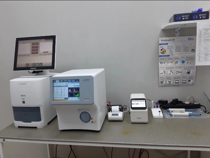 Ветеринарная клиника GlobalVet clinic в Москве: УЗИ, Рентген, Орнитолог, Вакцинация, Стерилизация , Стоматологические услуги, Неврология,