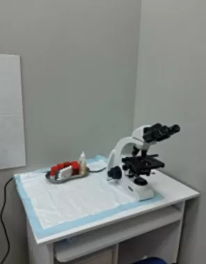 Ветеринарная клиника "GlobalVet clinic".