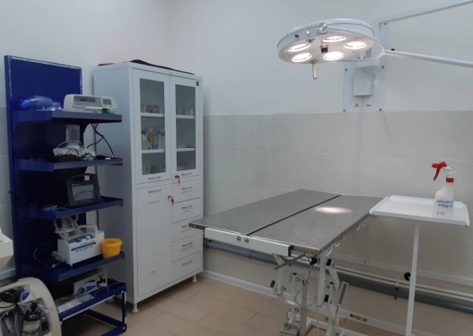 Ветеринарная клиника GlobalVet clinic в Москве: УЗИ, Рентген, Орнитолог, Вакцинация, Стерилизация , Стоматологические услуги, Неврология,