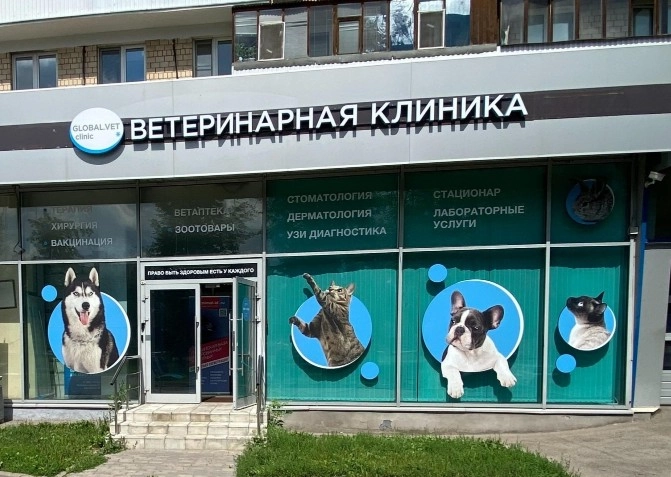 Ветеринарная клиника GlobalVet clinic в Москве: УЗИ, Рентген, Орнитолог, Вакцинация, Стерилизация , Стоматологические услуги, Неврология,