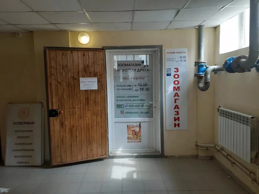 Зоомагазин Накорми друга в Ростове-на-Дону: Зоомагазин, Зоотовары, Животные,