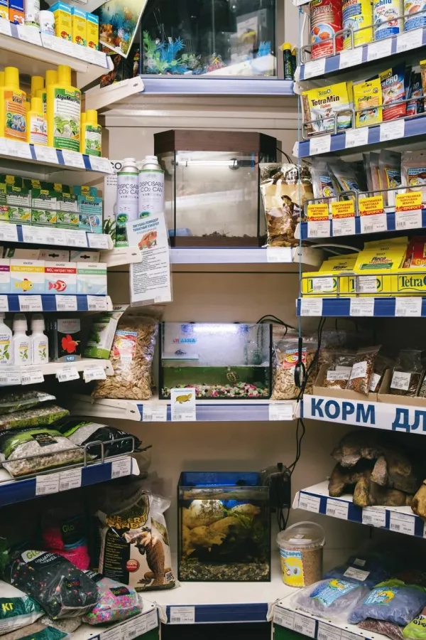 Зоомагазин Пророст в Ростове-на-Дону: Зоотовары, Зоомагазин, Животные,