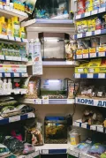 Миниатюра 6