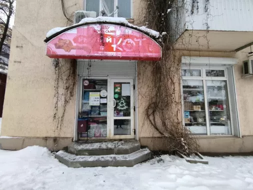 Зоомагазин "Рыжий кот".