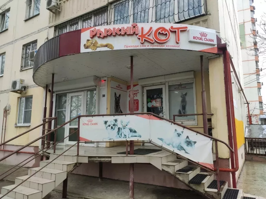 Зоомагазин Рыжий кот на Мильчакова в Ростове-на-Дону: Зоомагазин, Зоотовары, Животные,