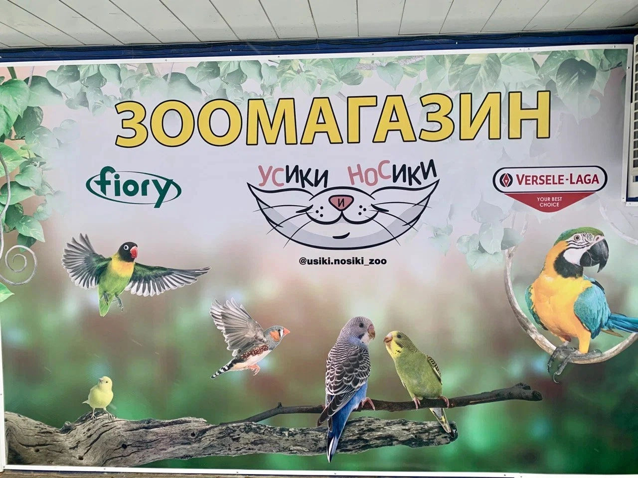 Большое фото 2